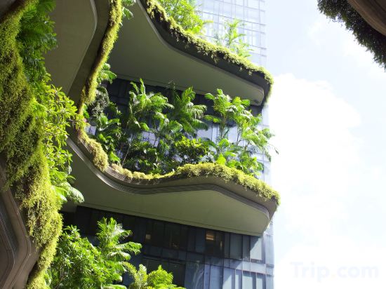 Фото Parkroyal Collection Pickering