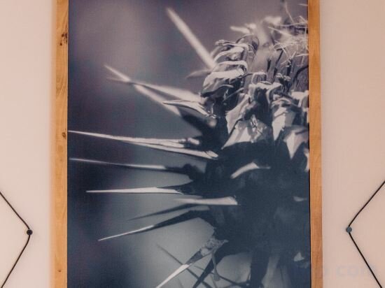 Фото Albergo Centrale