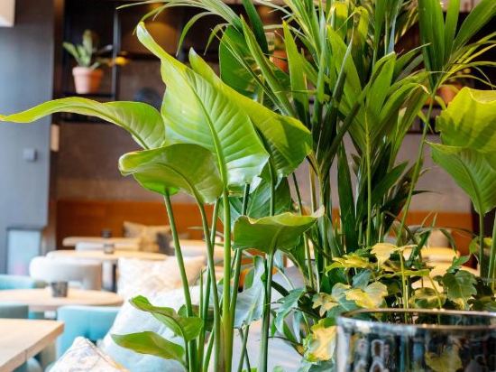 Фото The Hotel Brussels