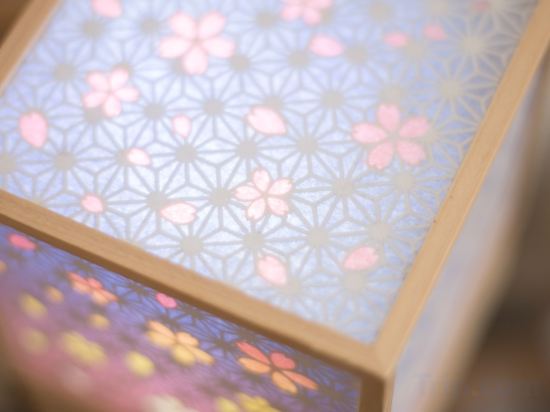 Фото Dougo-yado Guest House