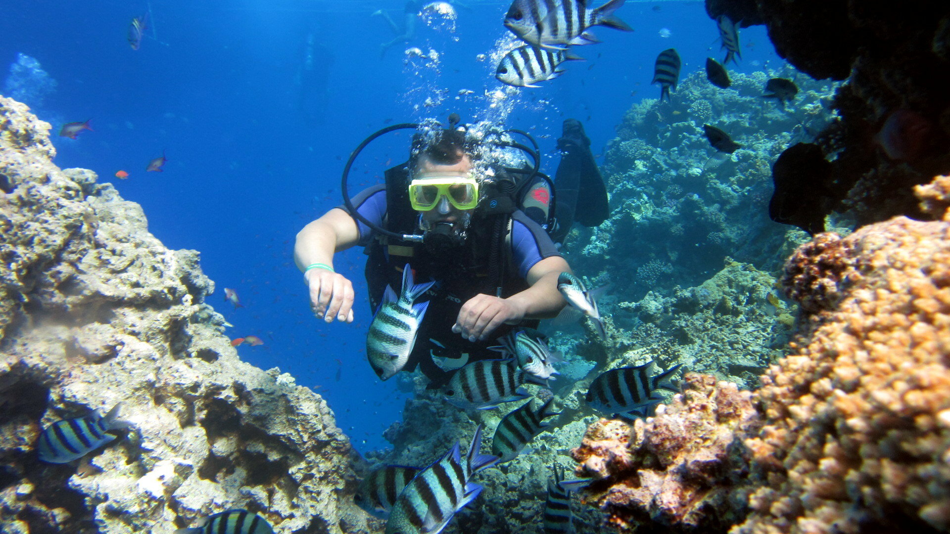 Фото Concorde El Salam Sharm El Sheikh Front Hotel