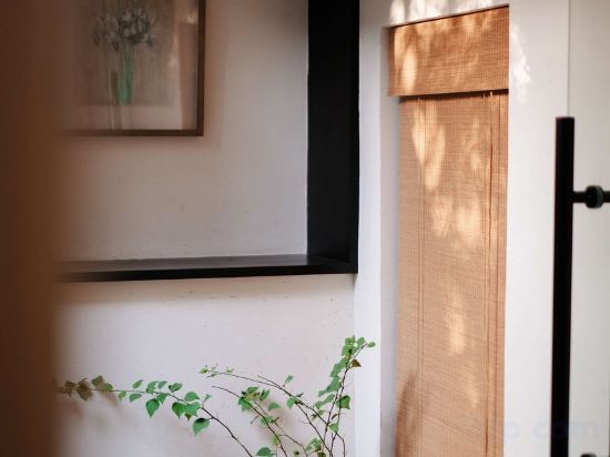 Фото Green Sleeves