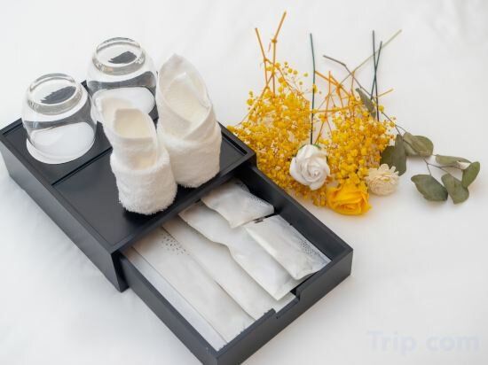 Фото Frida Hotels Guangzhou Baiyun International airport