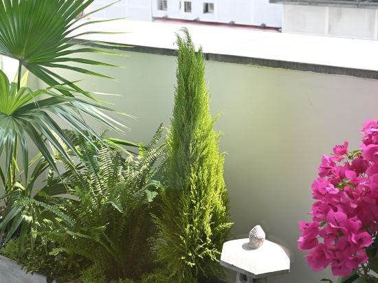 Фото Suzhou Youngor Central Hotel