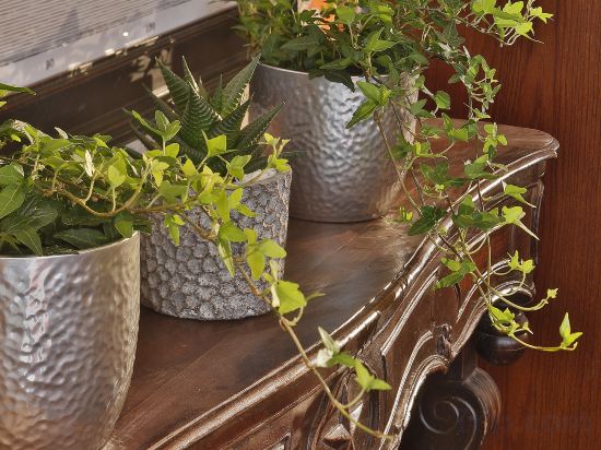 Фото Kipling by Happyculture