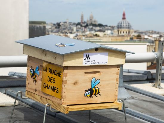 Фото Paris Marriott Champs Elysees Hotel