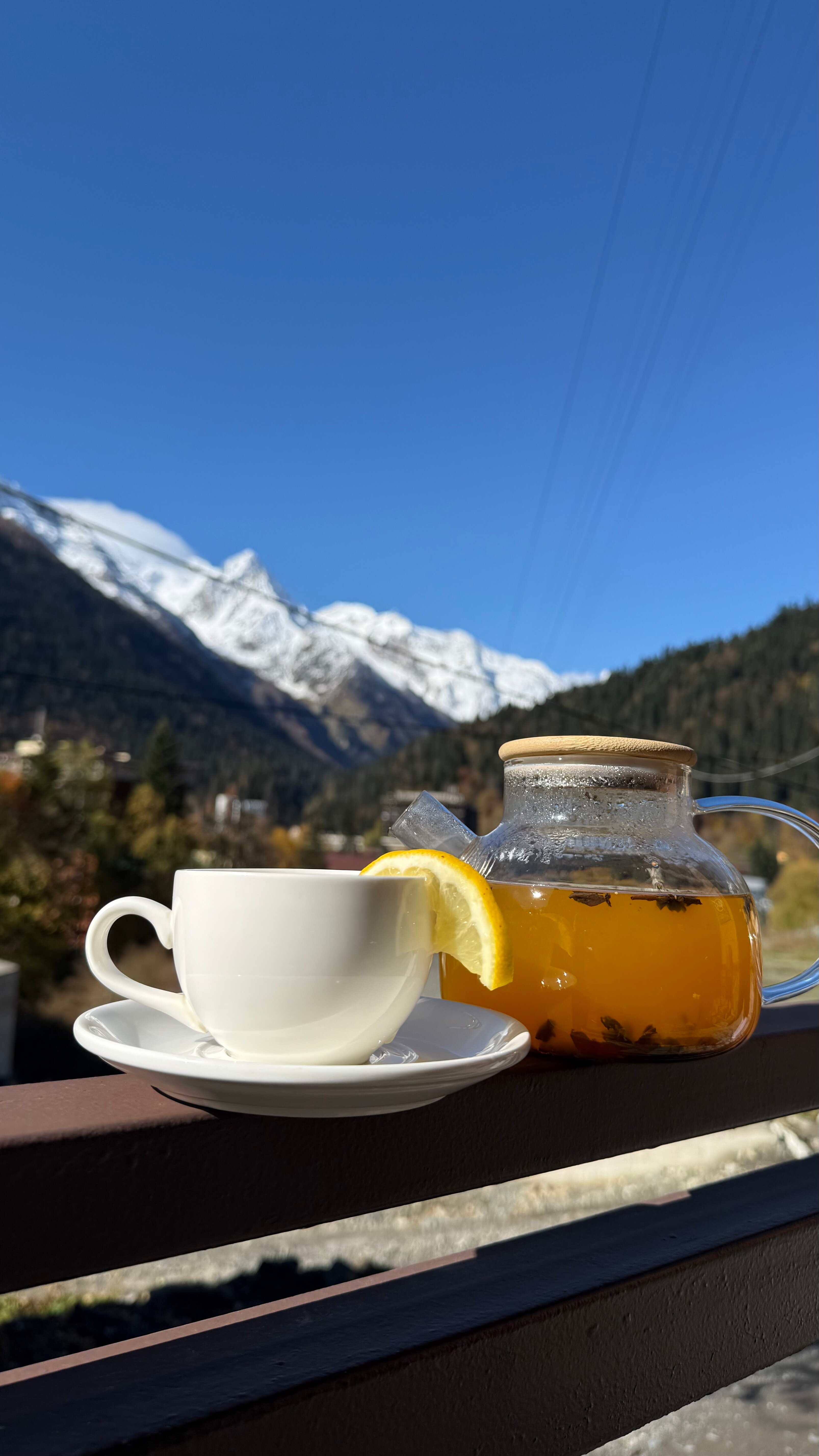 Фото Альпийский