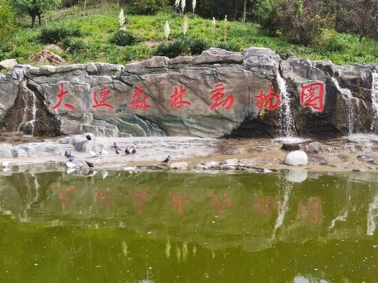 Apartments Dalian south China Plaza Hotel apartment, Dalian, photo