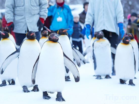Фото Hoshino Resorts Tomamu The Tower