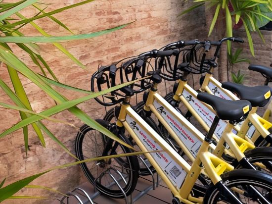 Фото Sant Jordi Gracia