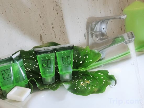 Фото Hotel Scott House Rome