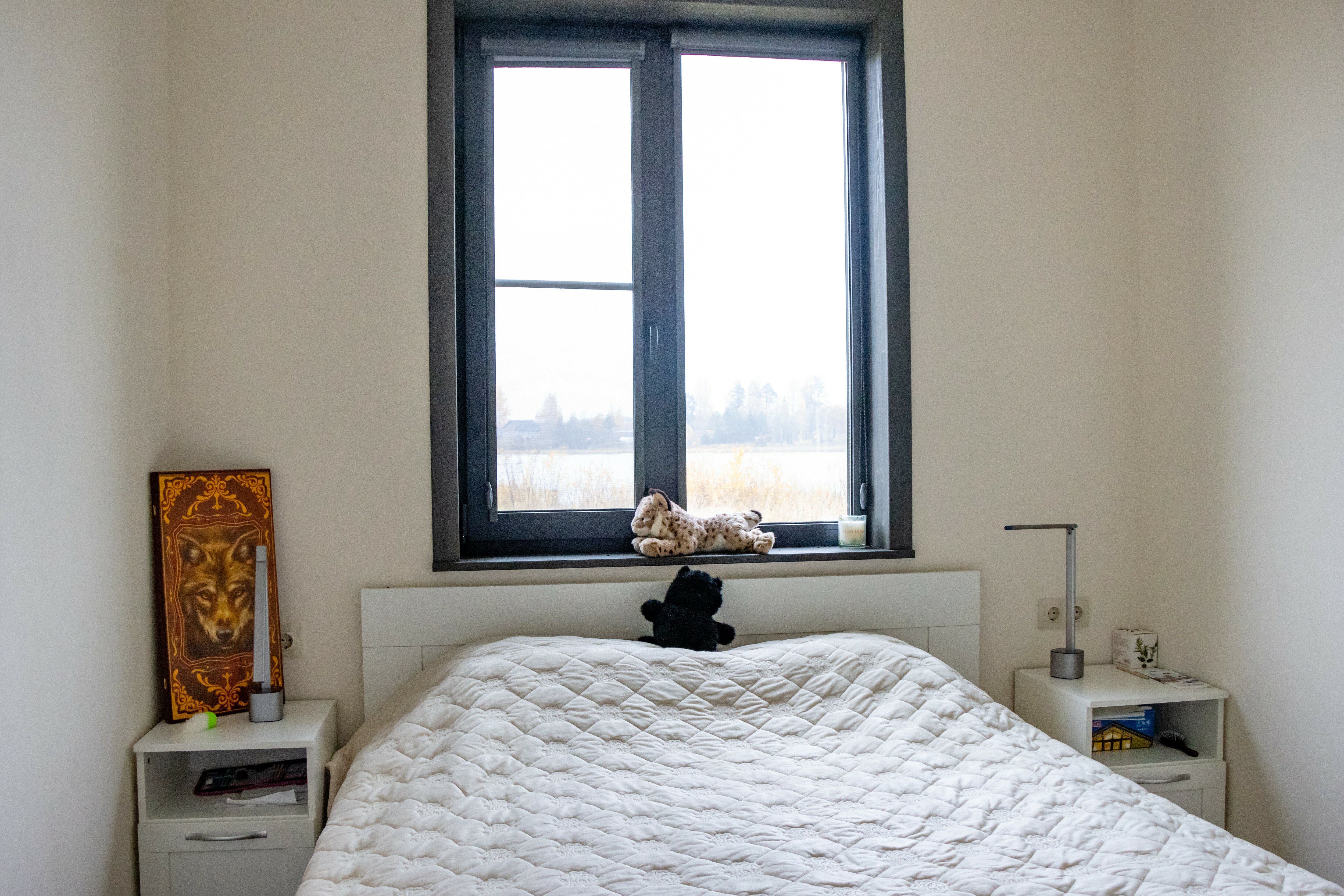 Фото Мыза Иногоща