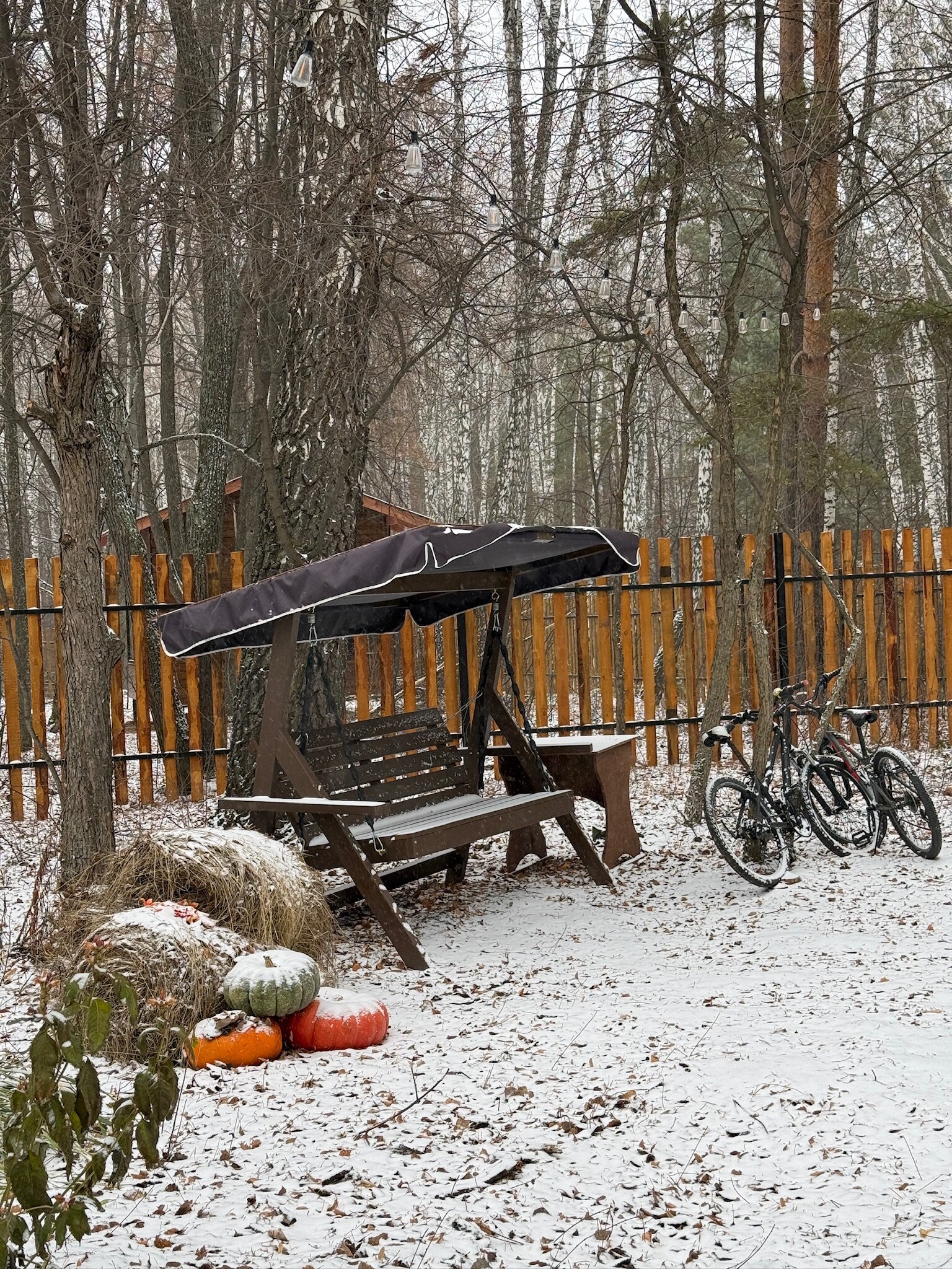 Фото Lipki House