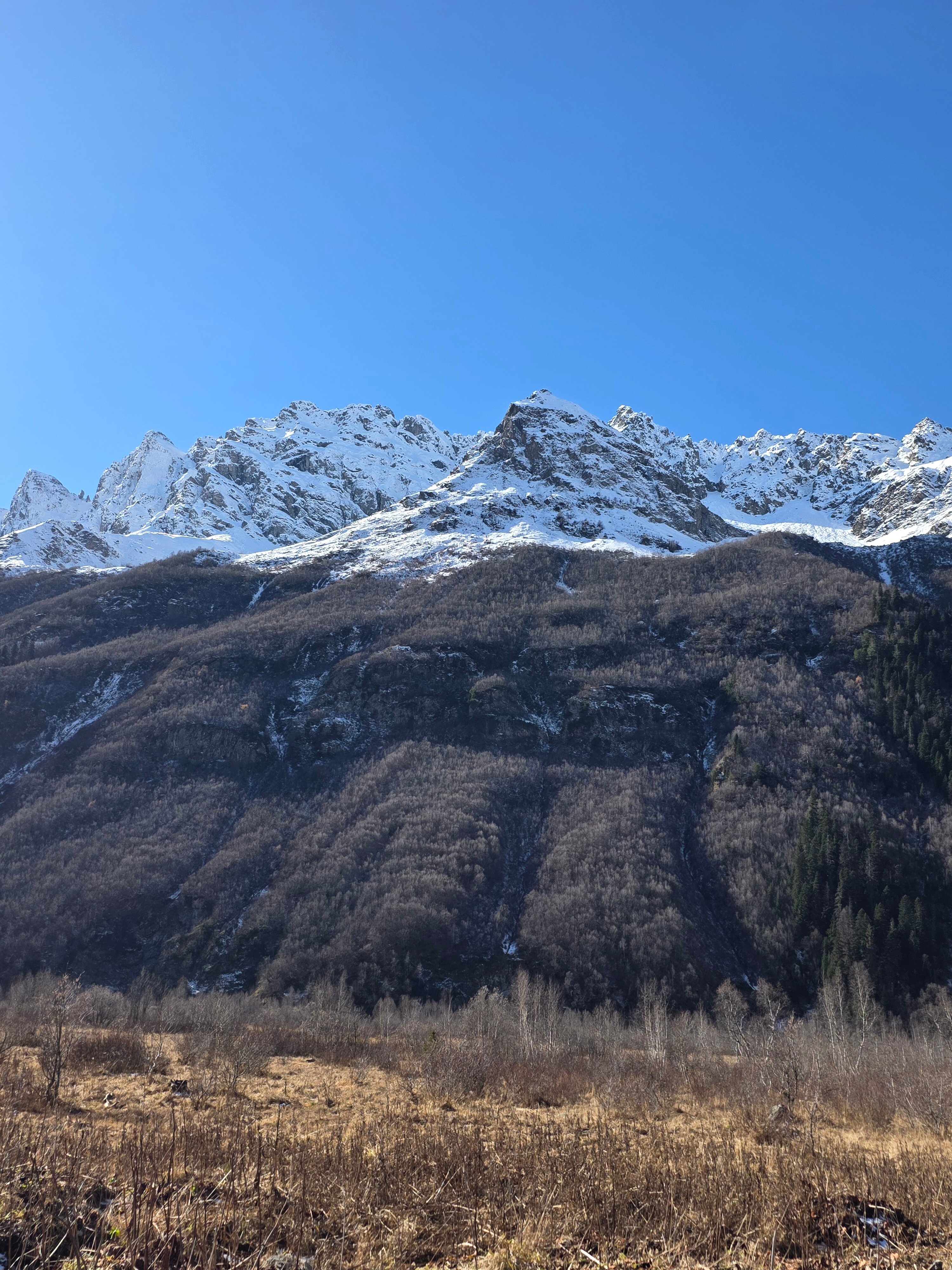 Фото Усадьба в горах