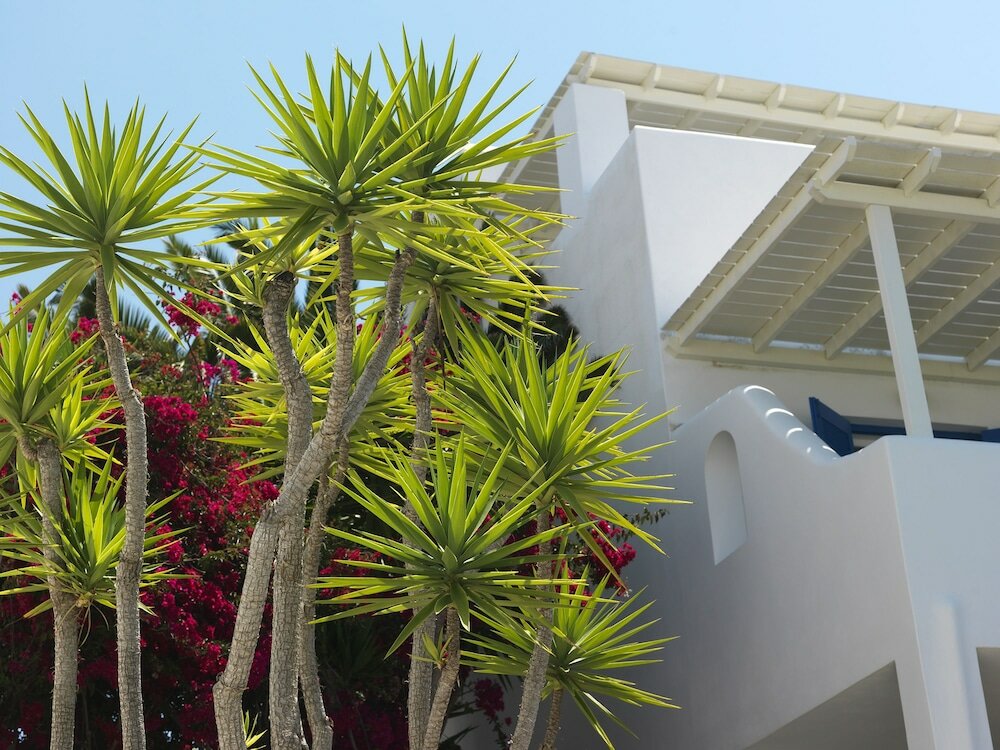 Фото Aloni Hotel