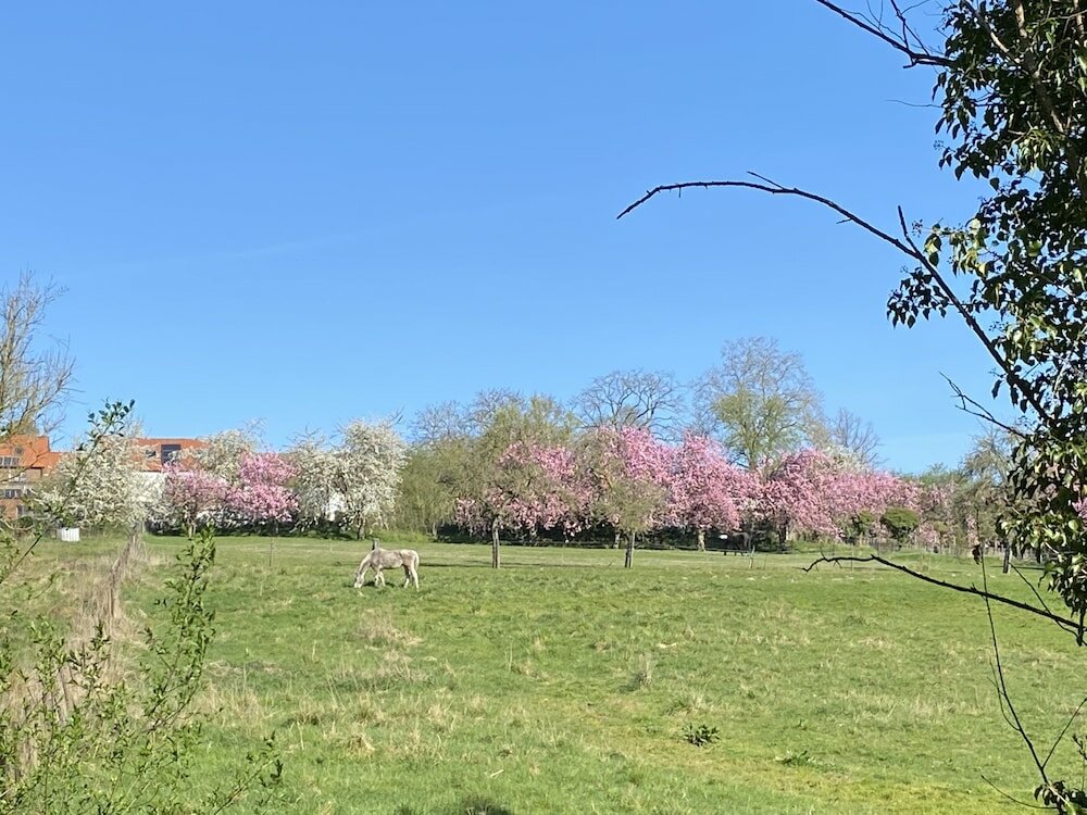 Фото B&b Baron's House Neerijse - Leuven