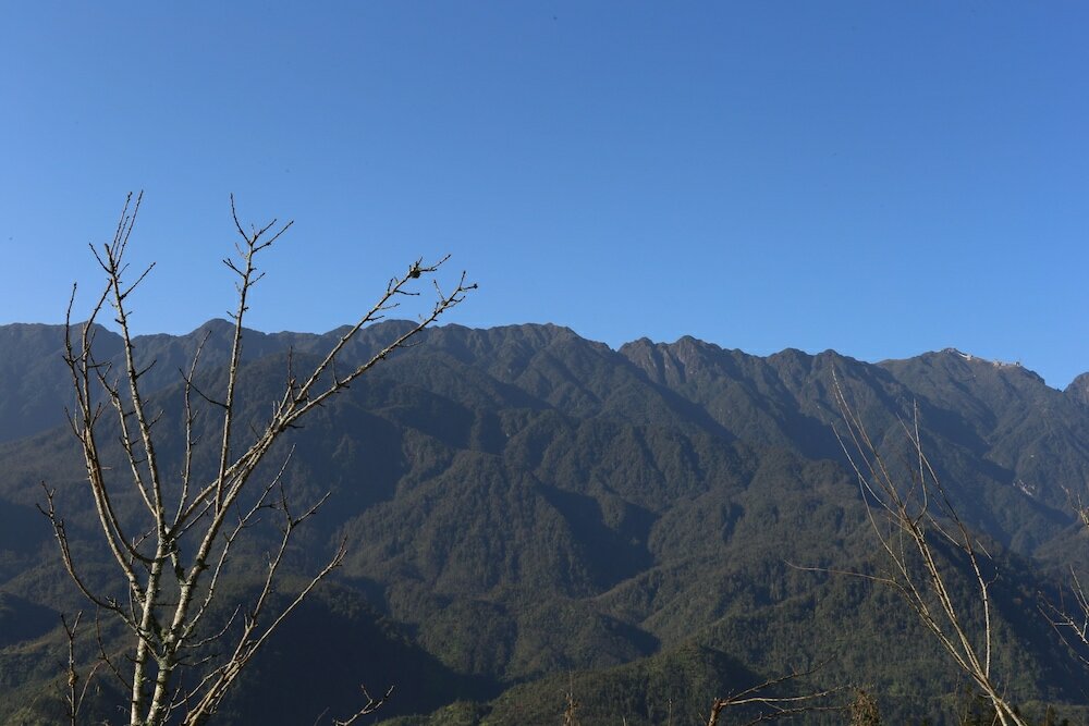 Фото Aliana Boutique Sapa Hotel & SPA