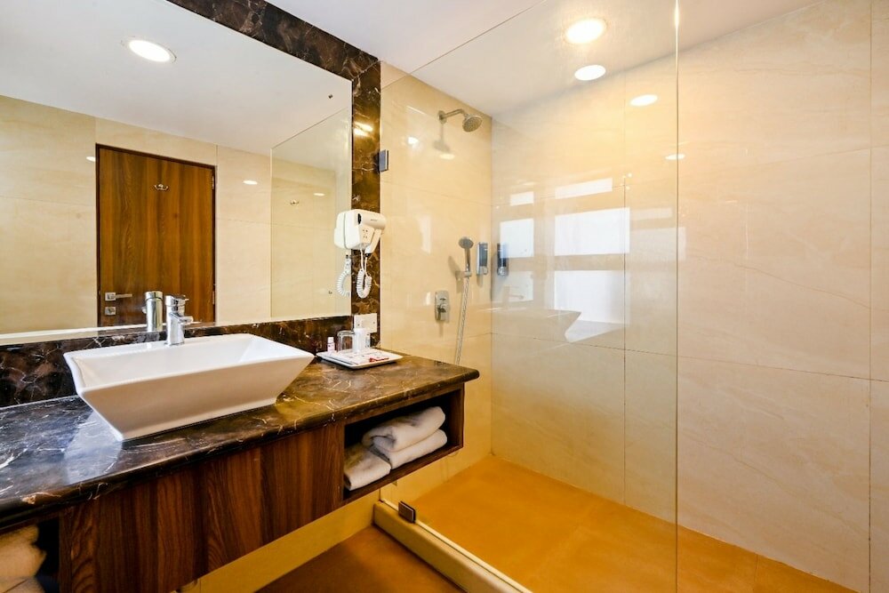 Фото Hotel Parle International