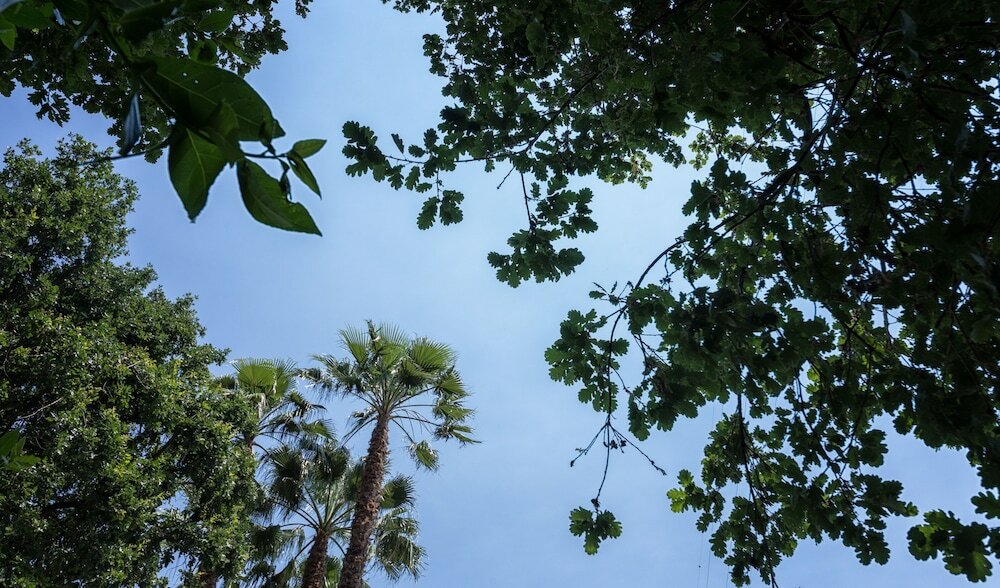 Фото Agave Hotel