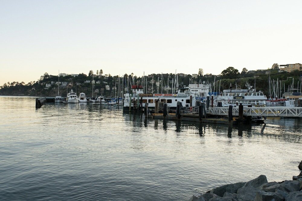 Фото Marin Suites Hotel