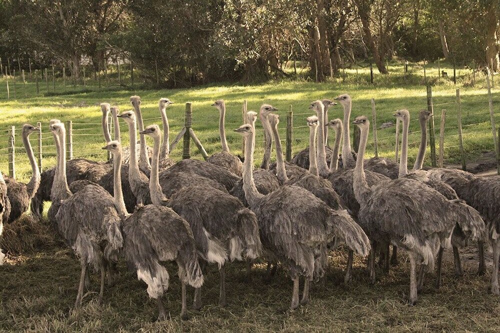 Фото The Grosvenor Guest House