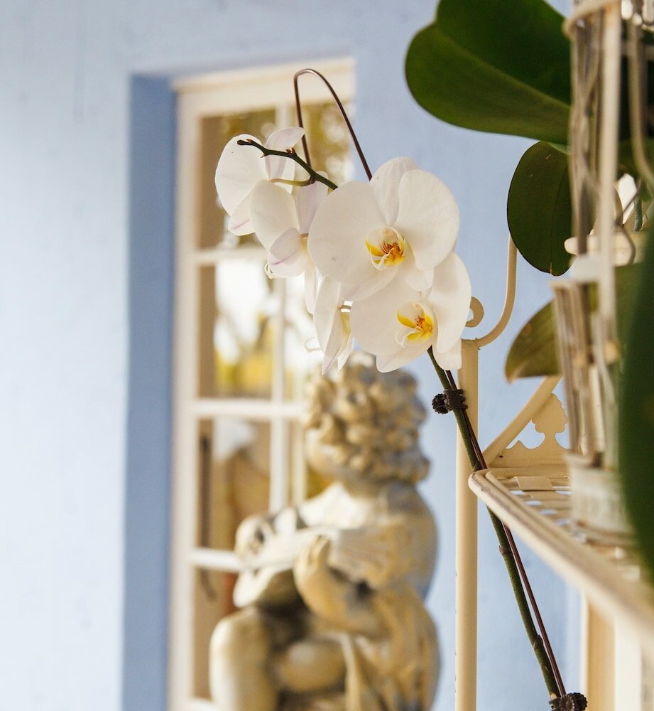 Фото The Angel’s Place Boutique Hotel