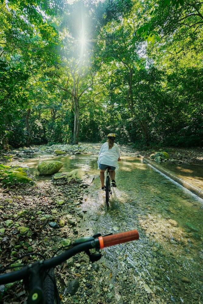 Фото Casa Bonita Tropical Lodge