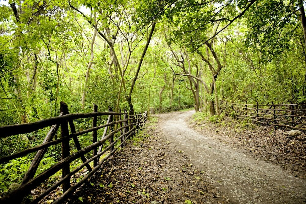 Фото Casa Bonita Tropical Lodge