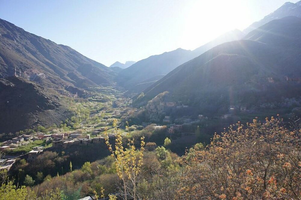 Фото Atlas Prestige