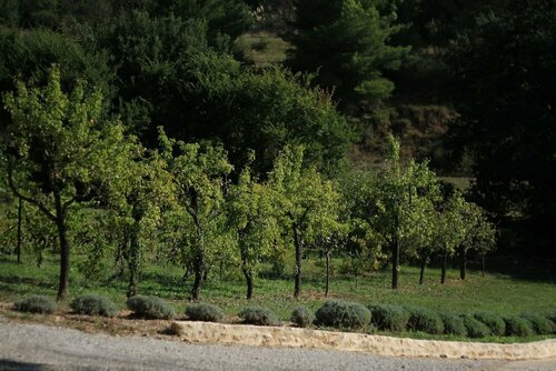 Внешний вид отеля Le Mas des Ecureuils в Экс-ан-Провансе, фото 5