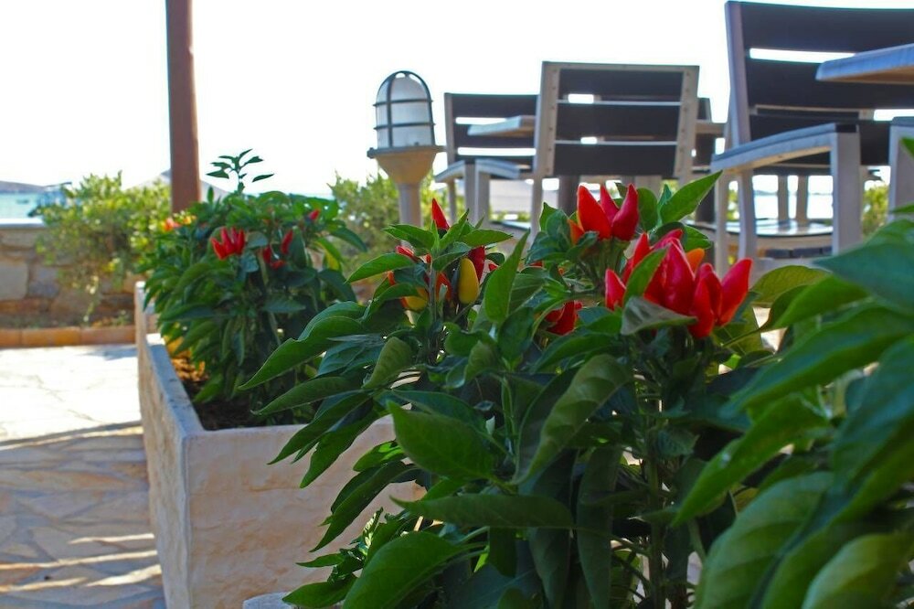 Фото Olympia Hotel