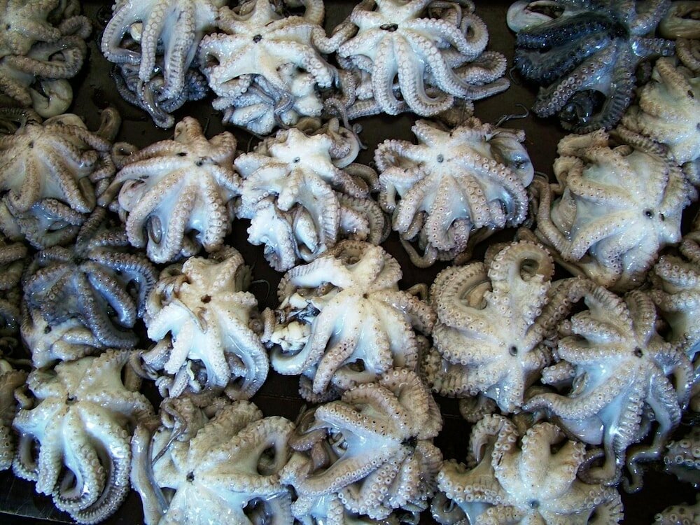 Фото Princess Salme Inn