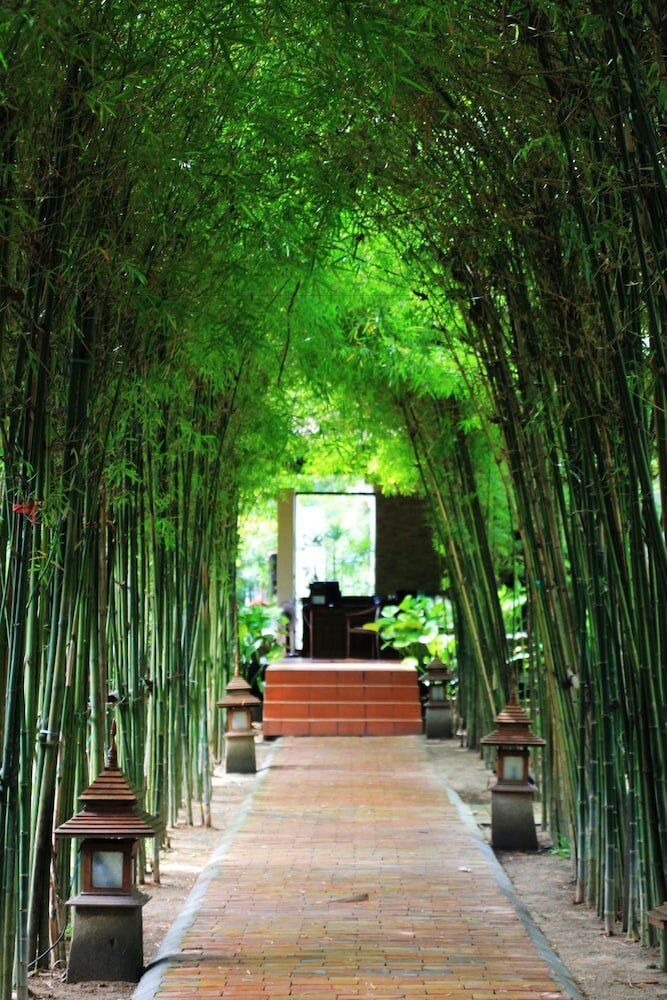 Фото Saree Samui