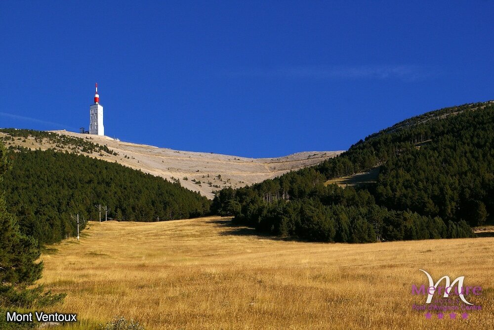 Фото Mercure Pont D'avignon Centre