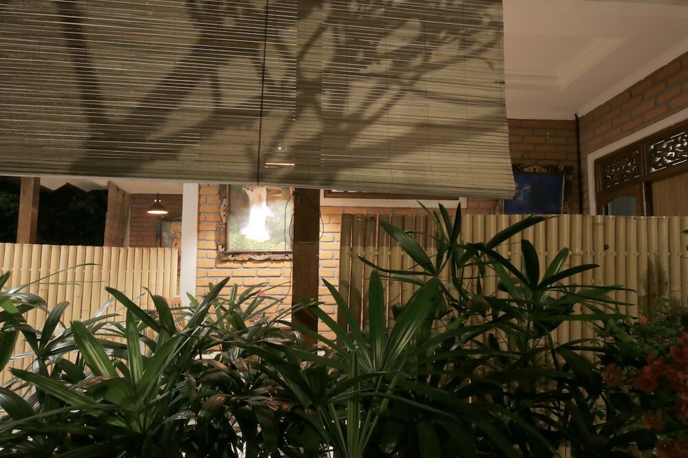 Фото In Da Garden