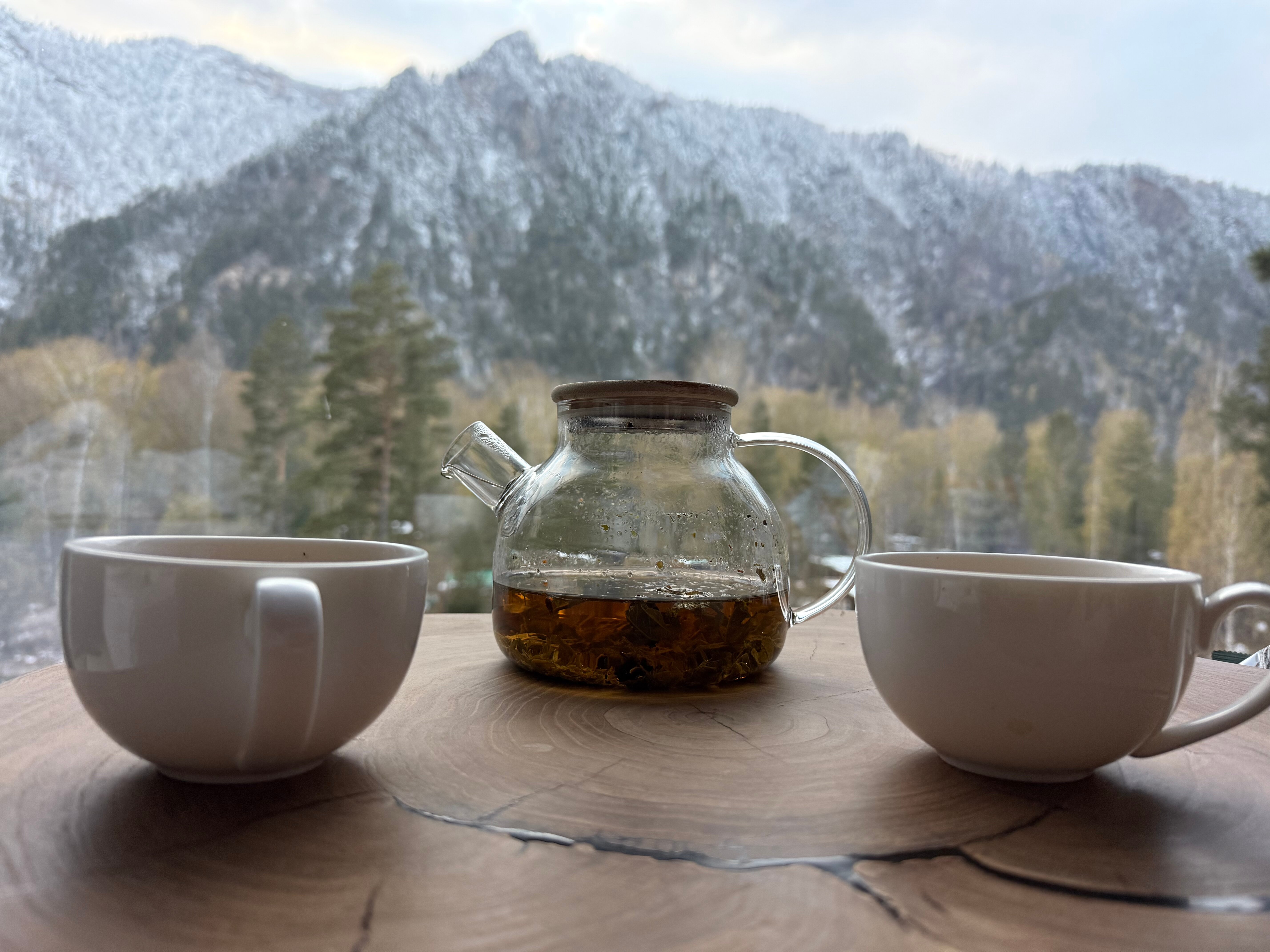 Фото Pinewood Resort&spa