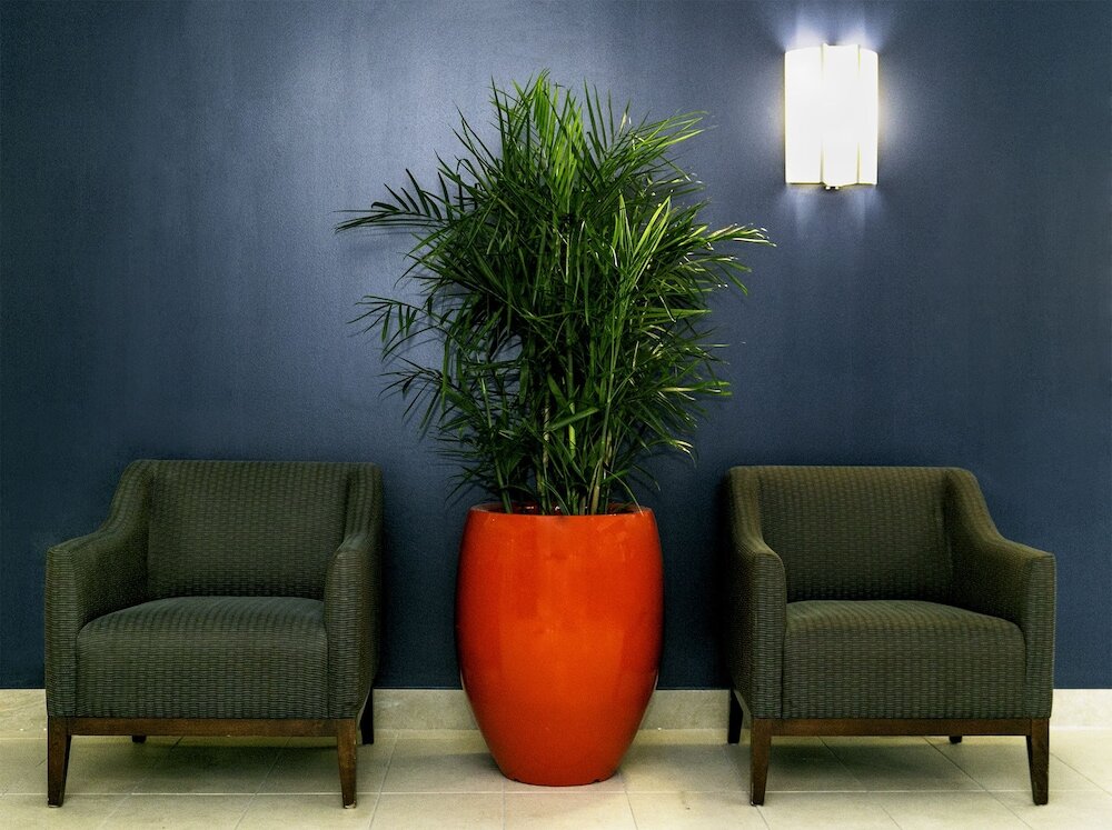 Фото Commodore Suites