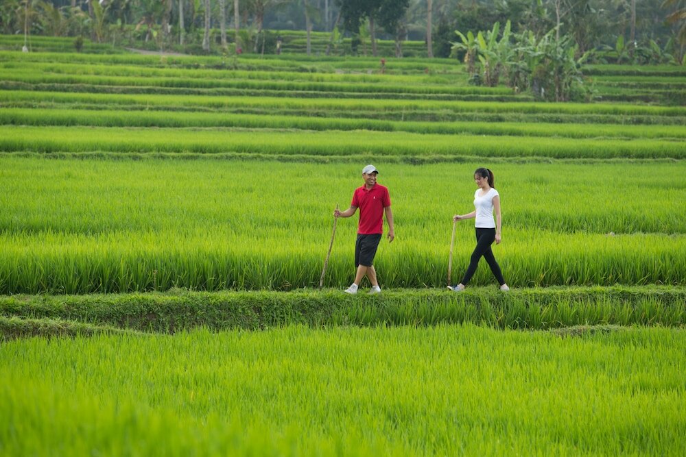 Фото Dwaraka The Royal Villas