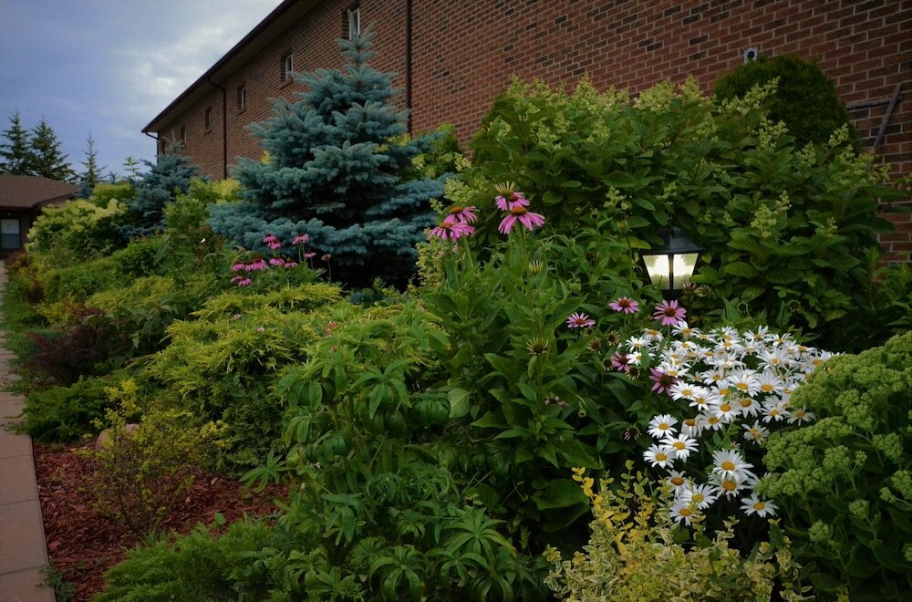 Фото Newmarket Inn