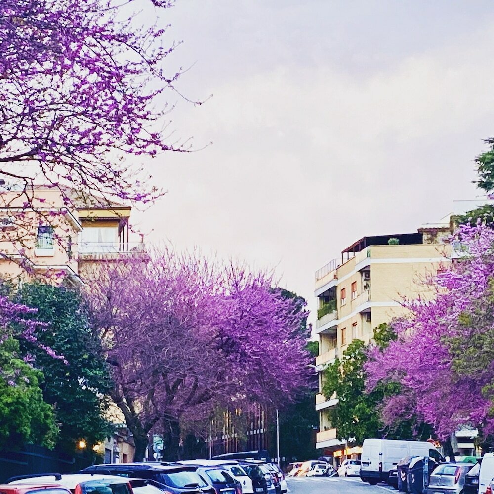 Фото Roma Trastevere Relais 