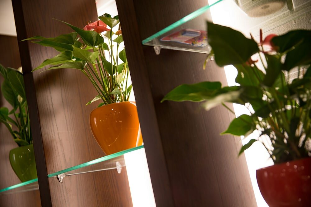 Фото Holiday Emerald Hotel