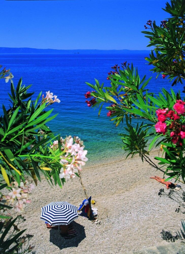 Фото Villa Marija