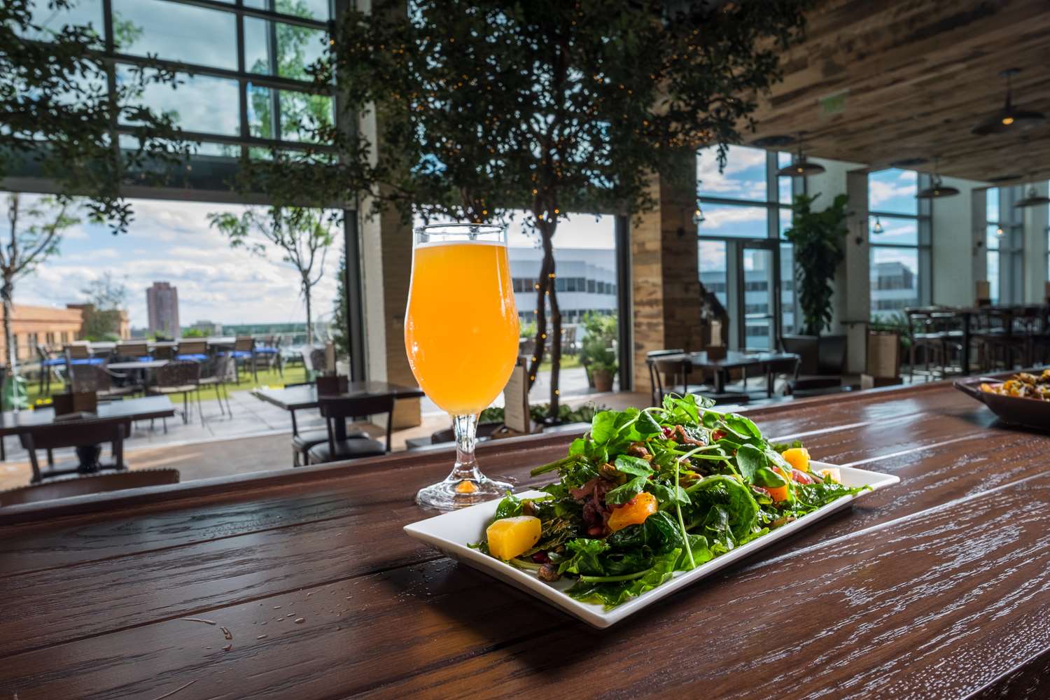 Фото Hilton Norfolk The Main