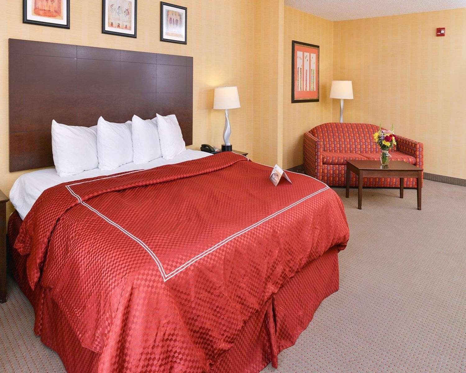 Фото Quality Suites