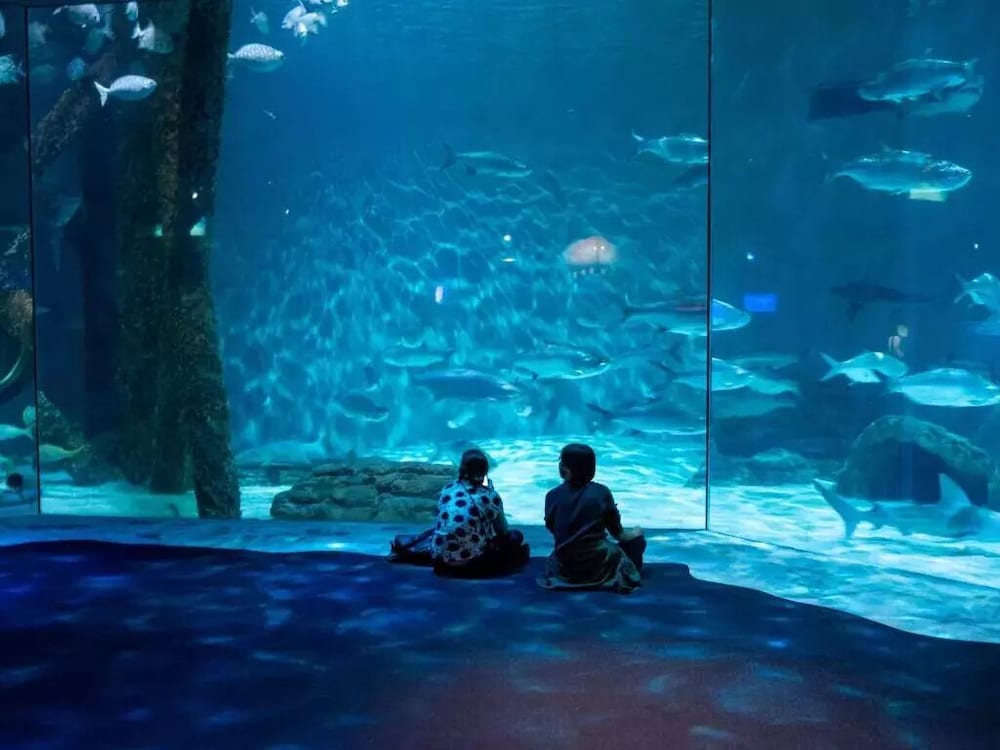 Фото Plaza Suites Downtown New Orleans