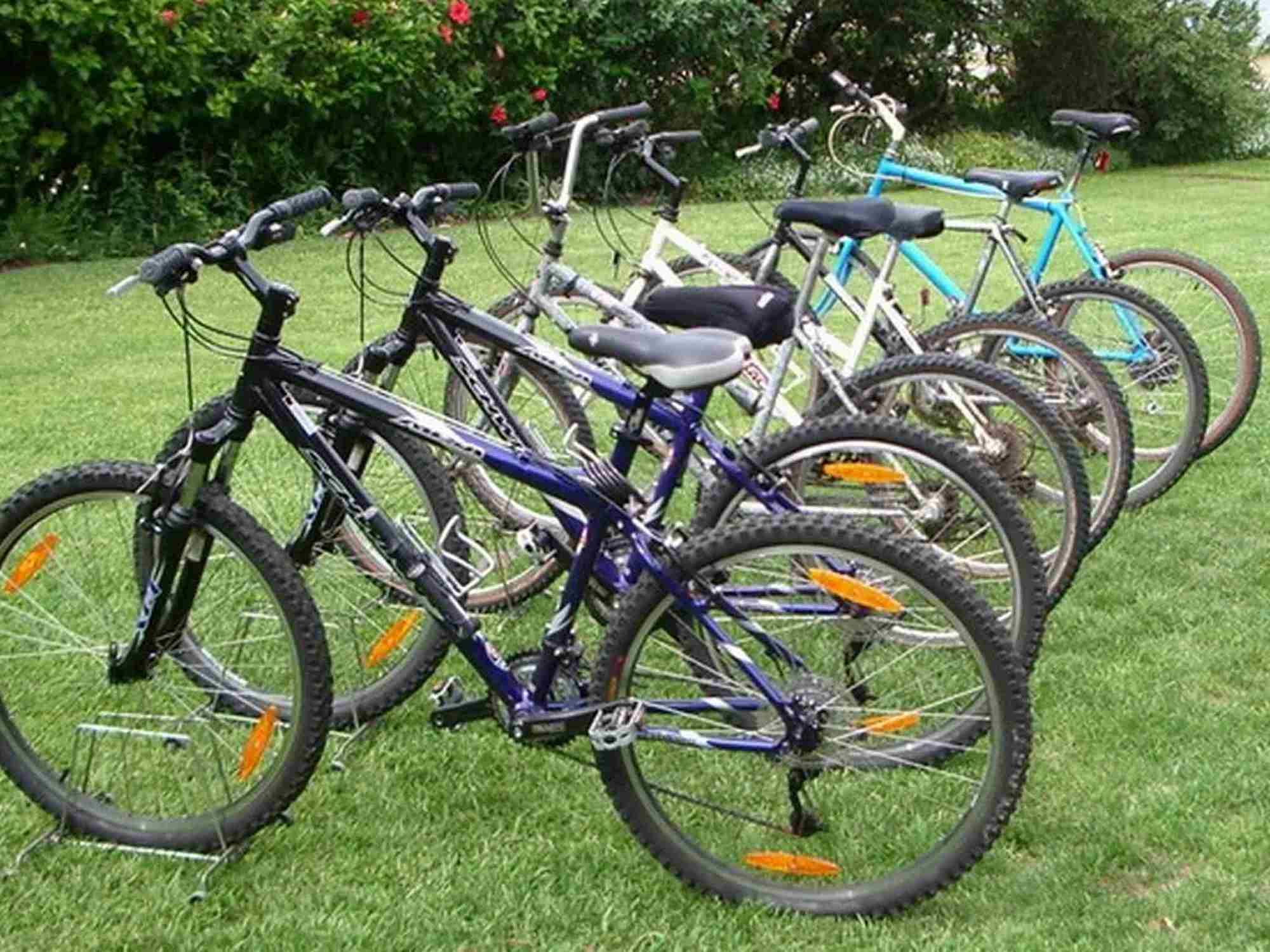 Фото The Knysna Belle