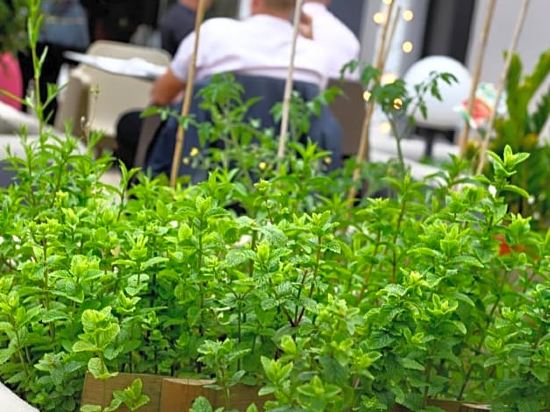 Фото Novotel Bordeaux Centre Gare Saint Jean