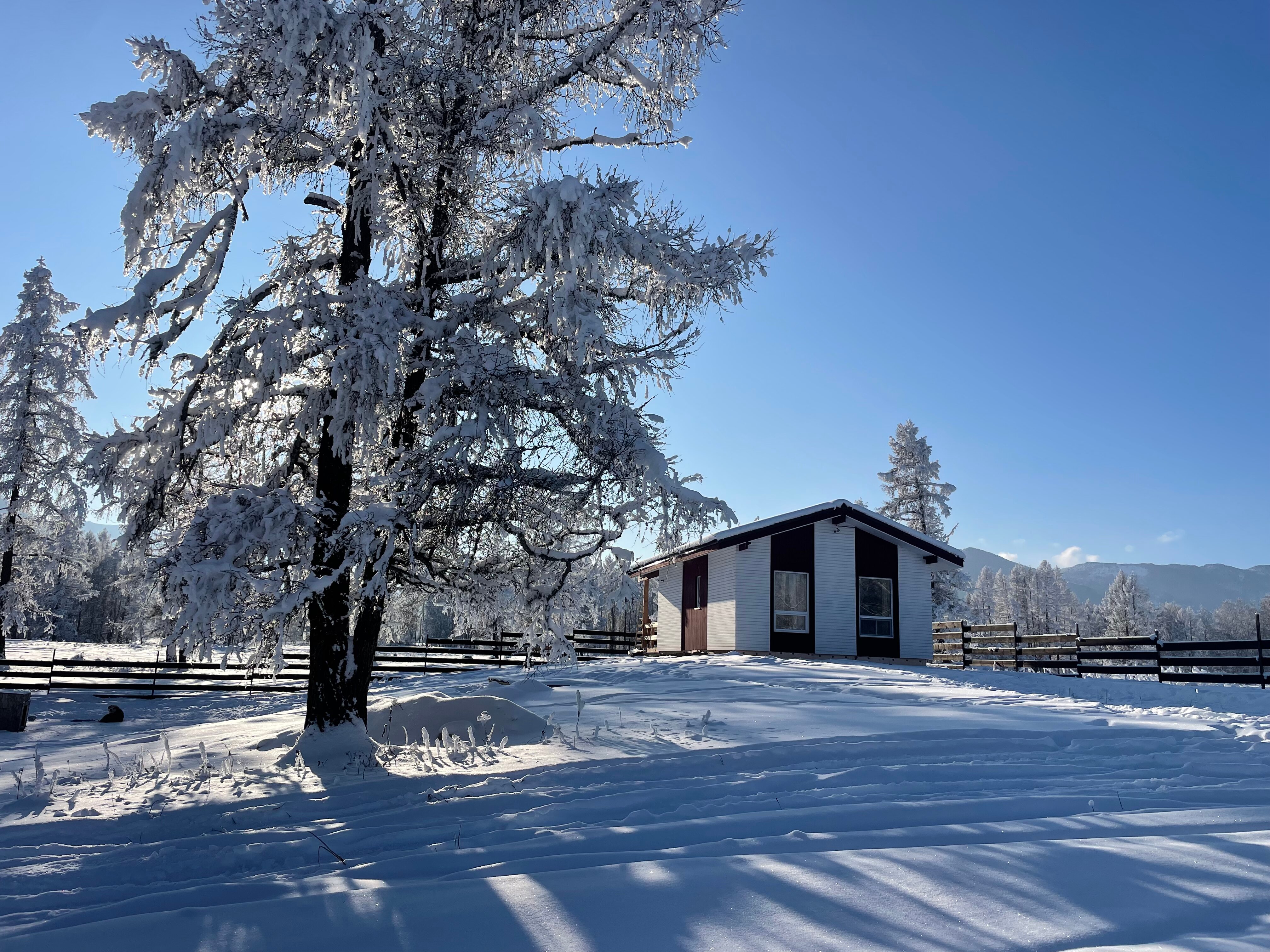 Фото Аврора