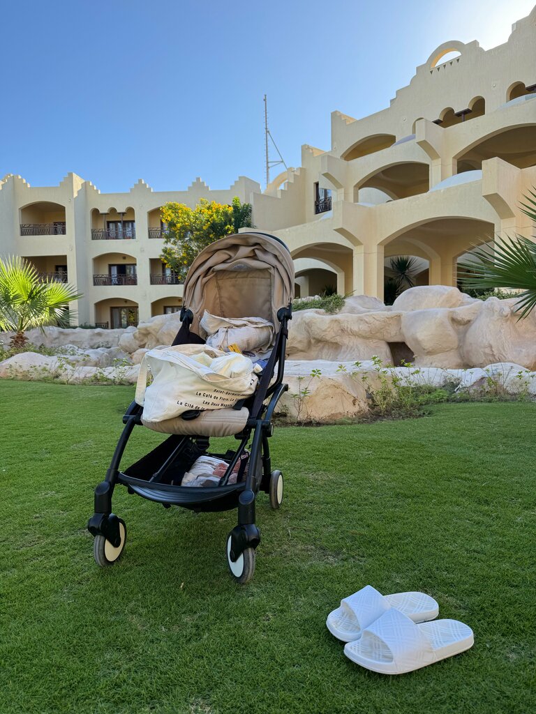 Baby strollers Aleks Servis, Moscow, photo