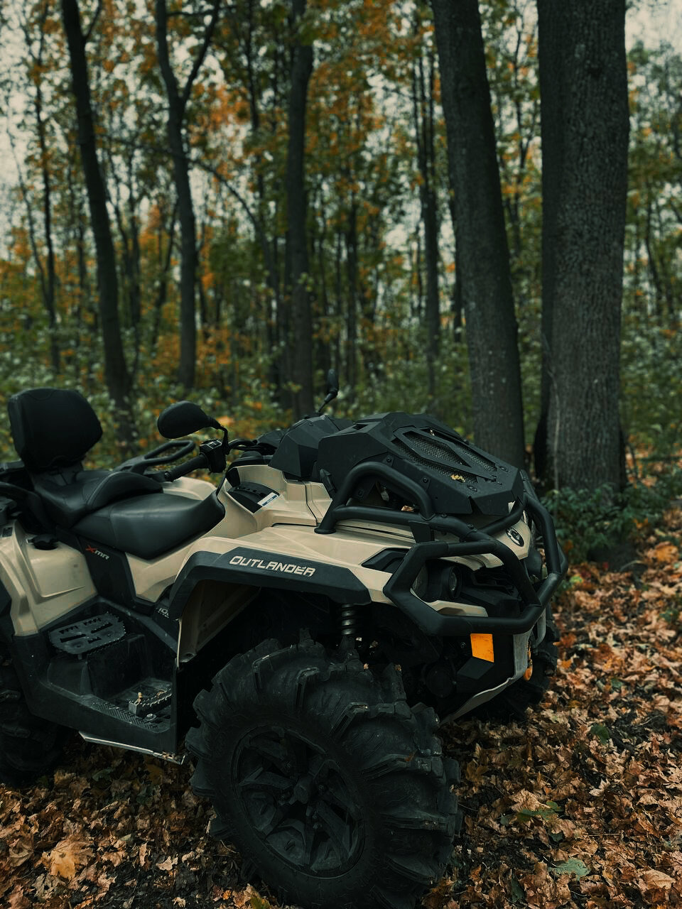 Фото 12 Месяцев